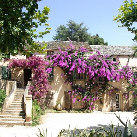 Domaine De Valle Sorbo-Ocagnano Eksteriør bilde