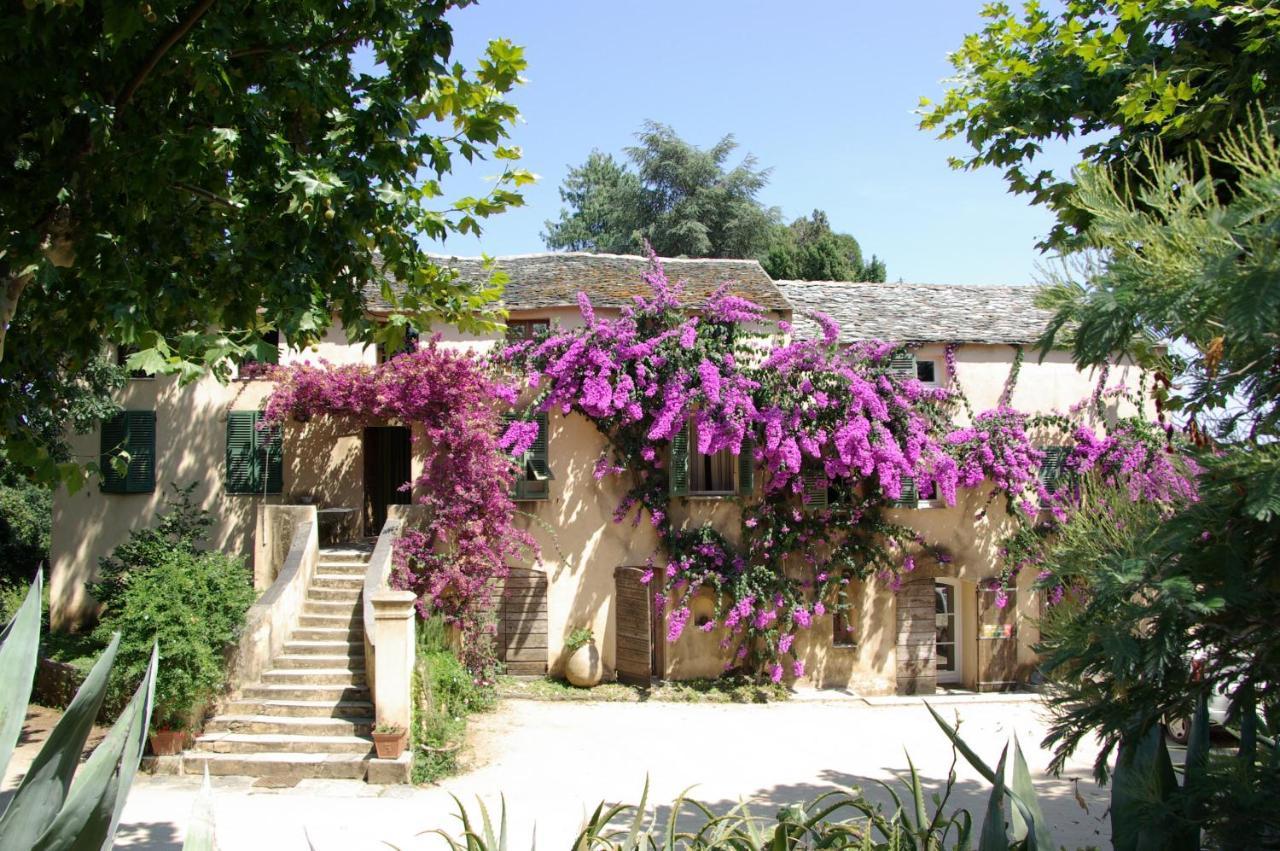 Domaine De Valle Sorbo-Ocagnano Eksteriør bilde